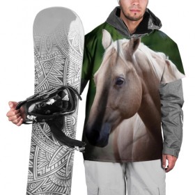 Накидка на куртку 3D с принтом Лошадь в Петрозаводске, 100% полиэстер |  | Тематика изображения на принте: вожжи | голоп | грация | езда | есаул | жеребец | животное | кобыла | кобылица | конь | копыта | копыто | лошадь | пегас | пони | рысак | сбруя | скакун | скачет | скачка | стойло | троя