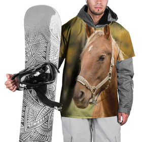 Накидка на куртку 3D с принтом Лошадь в Петрозаводске, 100% полиэстер |  | вожжи | голоп | грация | езда | есаул | жеребец | животное | кобыла | кобылица | конь | копыта | копыто | лошадь | пегас | пони | рысак | сбруя | скакун | скачет | скачка | стойло | троя