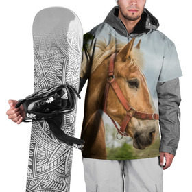 Накидка на куртку 3D с принтом Лошадка в Петрозаводске, 100% полиэстер |  | вожжи | голоп | грация | езда | есаул | жеребец | животное | кобыла | кобылица | конь | копыта | копыто | лошадь | пегас | пони | рысак | сбруя | скакун | скачет | скачка | стойло | троя