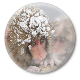 Значок с принтом Обезьянка и зима в Петрозаводске,  металл | круглая форма, металлическая застежка в виде булавки | бабуин | гамадрил | гиббон | горилла | гуманоид | дарвин | животное | зоопарк | кинг конг | мартышка | маугли | обезьяна | орангутанг | предок | примат | рожа | хомо сапиенс | шимпанзе