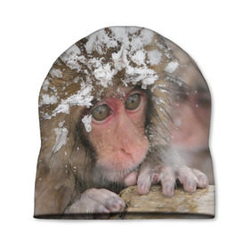 Шапка 3D с принтом Обезьянка и зима в Петрозаводске, 100% полиэстер | универсальный размер, печать по всей поверхности изделия | бабуин | гамадрил | гиббон | горилла | гуманоид | дарвин | животное | зоопарк | кинг конг | мартышка | маугли | обезьяна | орангутанг | предок | примат | рожа | хомо сапиенс | шимпанзе