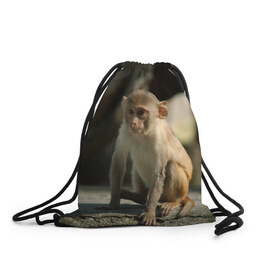 Рюкзак-мешок 3D с принтом Мартышка в Петрозаводске, 100% полиэстер | плотность ткани — 200 г/м2, размер — 35 х 45 см; лямки — толстые шнурки, застежка на шнуровке, без карманов и подкладки | животное | мартышка | обезьяна | примат