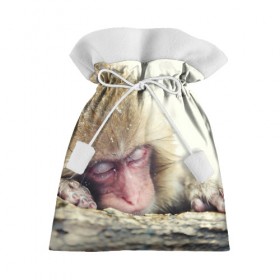 Подарочный 3D мешок с принтом Обезьянка спит в Петрозаводске, 100% полиэстер | Размер: 29*39 см | Тематика изображения на принте: бабуин | животное | обезьяна | орангутанг | примат