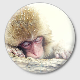 Значок с принтом Обезьянка спит в Петрозаводске,  металл | круглая форма, металлическая застежка в виде булавки | бабуин | животное | обезьяна | орангутанг | примат