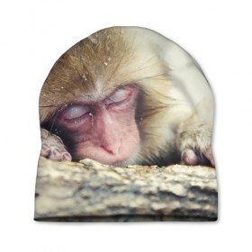 Шапка 3D с принтом Обезьянка спит в Петрозаводске, 100% полиэстер | универсальный размер, печать по всей поверхности изделия | бабуин | животное | обезьяна | орангутанг | примат
