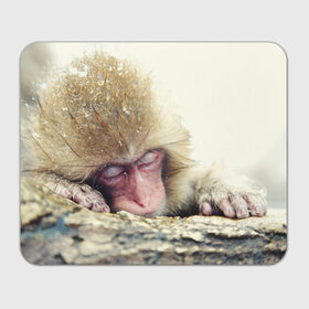 Коврик прямоугольный с принтом Обезьянка спит в Петрозаводске, натуральный каучук | размер 230 х 185 мм; запечатка лицевой стороны | бабуин | животное | обезьяна | орангутанг | примат