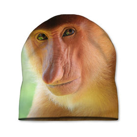 Шапка 3D с принтом Рыжая обезьяна в Петрозаводске, 100% полиэстер | универсальный размер, печать по всей поверхности изделия | Тематика изображения на принте: 