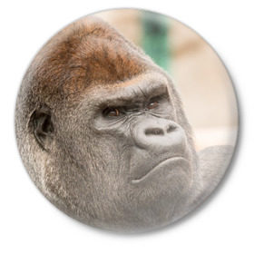 Значок с принтом Обезьяна в Петрозаводске,  металл | круглая форма, металлическая застежка в виде булавки | горилла | животное | обезьяна | примат