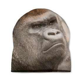 Шапка 3D с принтом Обезьяна в Петрозаводске, 100% полиэстер | универсальный размер, печать по всей поверхности изделия | горилла | животное | обезьяна | примат