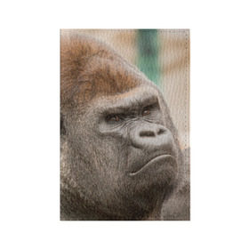 Обложка для паспорта матовая кожа с принтом Обезьяна в Петрозаводске, натуральная матовая кожа | размер 19,3 х 13,7 см; прозрачные пластиковые крепления | горилла | животное | обезьяна | примат