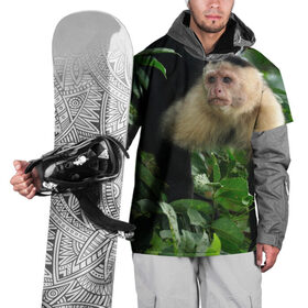 Накидка на куртку 3D с принтом Обезьянка в джунглях в Петрозаводске, 100% полиэстер |  | бабуин | гамадрил | гиббон | горилла | гуманоид | дарвин | животное | зоопарк | кинг конг | мартышка | маугли | обезьяна | орангутанг | предок | примат | рожа | хомо сапиенс | шимпанзе