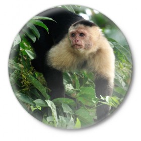 Значок с принтом Обезьянка в джунглях в Петрозаводске,  металл | круглая форма, металлическая застежка в виде булавки | Тематика изображения на принте: бабуин | гамадрил | гиббон | горилла | гуманоид | дарвин | животное | зоопарк | кинг конг | мартышка | маугли | обезьяна | орангутанг | предок | примат | рожа | хомо сапиенс | шимпанзе