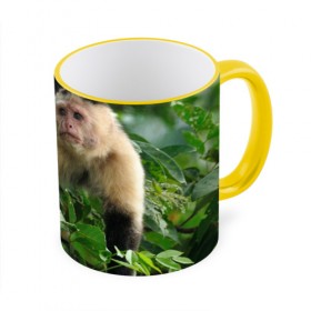Кружка 3D с принтом Обезьянка в джунглях в Петрозаводске, керамика | ёмкость 330 мл | бабуин | гамадрил | гиббон | горилла | гуманоид | дарвин | животное | зоопарк | кинг конг | мартышка | маугли | обезьяна | орангутанг | предок | примат | рожа | хомо сапиенс | шимпанзе