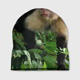 Шапка 3D с принтом Обезьянка в джунглях в Петрозаводске, 100% полиэстер | универсальный размер, печать по всей поверхности изделия | бабуин | гамадрил | гиббон | горилла | гуманоид | дарвин | животное | зоопарк | кинг конг | мартышка | маугли | обезьяна | орангутанг | предок | примат | рожа | хомо сапиенс | шимпанзе