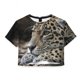 Женская футболка 3D укороченная с принтом Леопард в Петрозаводске, 100% полиэстер | круглая горловина, длина футболки до линии талии, рукава с отворотами | властелин | грация | животные | зверь | кот | кошачий | кошки | крупный | леопард | лес | милый | млекопитающее | природа | пятна | рыжий | усатый | усы | фауна | флора | хищник | хозяин | царь джунгли