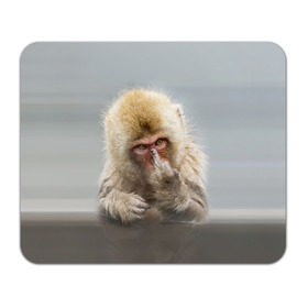 Коврик прямоугольный с принтом Японская макака в Петрозаводске, натуральный каучук | размер 230 х 185 мм; запечатка лицевой стороны | макак | мартышка | обезьяна | палец | япония
