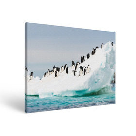 Холст прямоугольный с принтом Пингвины на айсберге в Петрозаводске, 100% ПВХ |  | Тематика изображения на принте: айсберг | антарктида | антарктика | арктика | буревестник | глупый | императорский | клюв | королевский | крылья | ласты | лёд | линукс | океан | пилигрим | полюс | птица | север | снег | умка | фрак