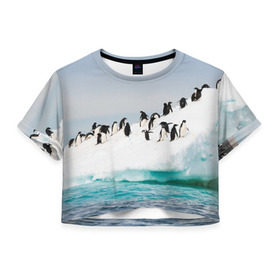 Женская футболка 3D укороченная с принтом Пингвины на айсберге в Петрозаводске, 100% полиэстер | круглая горловина, длина футболки до линии талии, рукава с отворотами | Тематика изображения на принте: айсберг | антарктида | антарктика | арктика | буревестник | глупый | императорский | клюв | королевский | крылья | ласты | лёд | линукс | океан | пилигрим | полюс | птица | север | снег | умка | фрак