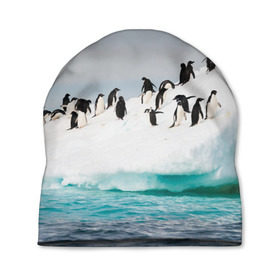 Шапка 3D с принтом Пингвины на айсберге в Петрозаводске, 100% полиэстер | универсальный размер, печать по всей поверхности изделия | айсберг | антарктида | антарктика | арктика | буревестник | глупый | императорский | клюв | королевский | крылья | ласты | лёд | линукс | океан | пилигрим | полюс | птица | север | снег | умка | фрак