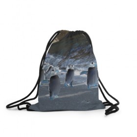 Рюкзак-мешок 3D с принтом Ночные пингвины в горах в Петрозаводске, 100% полиэстер | плотность ткани — 200 г/м2, размер — 35 х 45 см; лямки — толстые шнурки, застежка на шнуровке, без карманов и подкладки | 