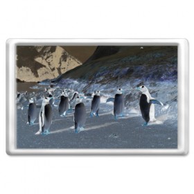 Магнит 45*70 с принтом Ночные пингвины в горах в Петрозаводске, Пластик | Размер: 78*52 мм; Размер печати: 70*45 | 