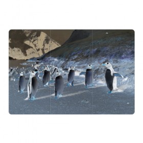 Магнитный плакат 3Х2 с принтом Ночные пингвины в горах в Петрозаводске, Полимерный материал с магнитным слоем | 6 деталей размером 9*9 см | 