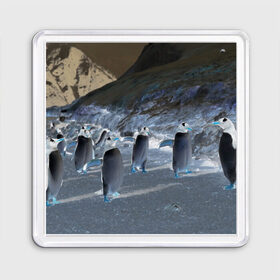 Магнит 55*55 с принтом Ночные пингвины в горах в Петрозаводске, Пластик | Размер: 65*65 мм; Размер печати: 55*55 мм | 