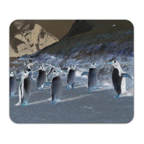Коврик прямоугольный с принтом Ночные пингвины в горах в Петрозаводске, натуральный каучук | размер 230 х 185 мм; запечатка лицевой стороны | 