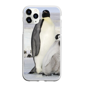 Чехол для iPhone 11 Pro Max матовый с принтом Пингвин и пингвинята в Петрозаводске, Силикон |  | Тематика изображения на принте: айсберг | антарктида | антарктика | арктика | буревестник | глупый | императорский | клюв | королевский | крылья | ласты | лёд | линукс | океан | пилигрим | полюс | птица | север | снег | умка | фрак