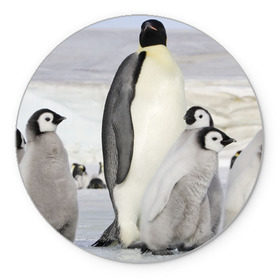 Коврик круглый с принтом Пингвин и пингвинята в Петрозаводске, резина и полиэстер | круглая форма, изображение наносится на всю лицевую часть | айсберг | антарктида | антарктика | арктика | буревестник | глупый | императорский | клюв | королевский | крылья | ласты | лёд | линукс | океан | пилигрим | полюс | птица | север | снег | умка | фрак