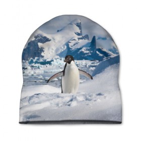 Шапка 3D с принтом Пингвин в горах в Петрозаводске, 100% полиэстер | универсальный размер, печать по всей поверхности изделия | айсберг | антарктида | антарктика | арктика | буревестник | глупый | императорский | клюв | королевский | крылья | ласты | лёд | линукс | океан | пилигрим | полюс | птица | север | снег | умка | фрак