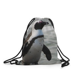Рюкзак-мешок 3D с принтом Пингвин в Петрозаводске, 100% полиэстер | плотность ткани — 200 г/м2, размер — 35 х 45 см; лямки — толстые шнурки, застежка на шнуровке, без карманов и подкладки | 