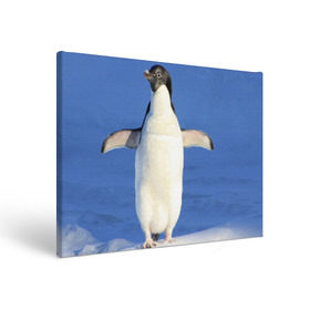 Холст прямоугольный с принтом Пингвин в Петрозаводске, 100% ПВХ |  | Тематика изображения на принте: айсберг | антарктида | антарктика | арктика | буревестник | глупый | императорский | клюв | королевский | крылья | ласты | лёд | линукс | океан | пилигрим | полюс | птица | север | снег | умка | фрак