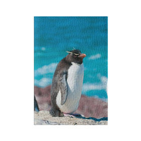 Обложка для паспорта матовая кожа с принтом Пингвин в Петрозаводске, натуральная матовая кожа | размер 19,3 х 13,7 см; прозрачные пластиковые крепления | айсберг | антарктида | антарктика | арктика | буревестник | глупый | императорский | клюв | королевский | крылья | ласты | лёд | линукс | океан | пилигрим | полюс | птица | север | снег | умка | фрак