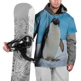 Накидка на куртку 3D с принтом Пингвин на айсберге в Петрозаводске, 100% полиэстер |  | айсберг | антарктида | антарктика | арктика | буревестник | глупый | императорский | клюв | королевский | крылья | ласты | лёд | линукс | океан | пилигрим | полюс | птица | север | снег | умка | фрак