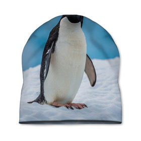 Шапка 3D с принтом Пингвин на айсберге в Петрозаводске, 100% полиэстер | универсальный размер, печать по всей поверхности изделия | айсберг | антарктида | антарктика | арктика | буревестник | глупый | императорский | клюв | королевский | крылья | ласты | лёд | линукс | океан | пилигрим | полюс | птица | север | снег | умка | фрак