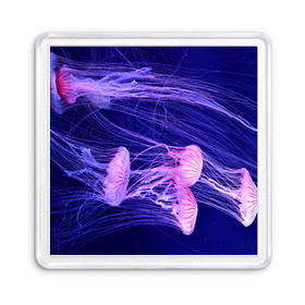 Магнит 55*55 с принтом Розовые медузы в Петрозаводске, Пластик | Размер: 65*65 мм; Размер печати: 55*55 мм | аквариум | вода | дайвинг | милые | море | океан | плывет | подводный мир | рыбалка | рыбка | рыбы | стая | фауна