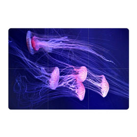 Магнитный плакат 3Х2 с принтом Розовые медузы в Петрозаводске, Полимерный материал с магнитным слоем | 6 деталей размером 9*9 см | аквариум | вода | дайвинг | милые | море | океан | плывет | подводный мир | рыбалка | рыбка | рыбы | стая | фауна