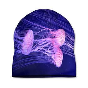 Шапка 3D с принтом Розовые медузы в Петрозаводске, 100% полиэстер | универсальный размер, печать по всей поверхности изделия | аквариум | вода | дайвинг | милые | море | океан | плывет | подводный мир | рыбалка | рыбка | рыбы | стая | фауна
