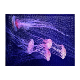 Обложка для студенческого билета с принтом Розовые медузы в Петрозаводске, натуральная кожа | Размер: 11*8 см; Печать на всей внешней стороне | Тематика изображения на принте: аквариум | вода | дайвинг | милые | море | океан | плывет | подводный мир | рыбалка | рыбка | рыбы | стая | фауна