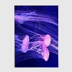 Постер с принтом Розовые медузы в Петрозаводске, 100% бумага
 | бумага, плотность 150 мг. Матовая, но за счет высокого коэффициента гладкости имеет небольшой блеск и дает на свету блики, но в отличии от глянцевой бумаги не покрыта лаком | Тематика изображения на принте: аквариум | вода | дайвинг | милые | море | океан | плывет | подводный мир | рыбалка | рыбка | рыбы | стая | фауна