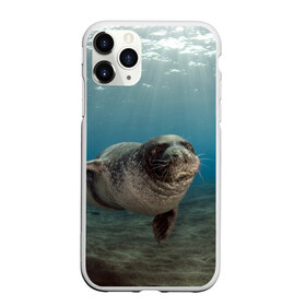 Чехол для iPhone 11 Pro Max матовый с принтом Тюлень под водой в Петрозаводске, Силикон |  | вода | дайвинг | жирный | косяк | красивые | милые | море | морская | морской котик | океан | плывет | подводный мир | прикольные | речная | рыба | рыбалка | стая | тюлень | усатый кот | фауна | чешуя
