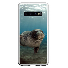 Чехол для Samsung Galaxy S10 с принтом Тюлень под водой в Петрозаводске, Силикон | Область печати: задняя сторона чехла, без боковых панелей | вода | дайвинг | жирный | косяк | красивые | милые | море | морская | морской котик | океан | плывет | подводный мир | прикольные | речная | рыба | рыбалка | стая | тюлень | усатый кот | фауна | чешуя