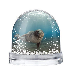 Снежный шар с принтом Тюлень под водой в Петрозаводске, Пластик | Изображение внутри шара печатается на глянцевой фотобумаге с двух сторон | вода | дайвинг | жирный | косяк | красивые | милые | море | морская | морской котик | океан | плывет | подводный мир | прикольные | речная | рыба | рыбалка | стая | тюлень | усатый кот | фауна | чешуя