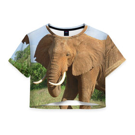 Женская футболка 3D укороченная с принтом Слон в Петрозаводске, 100% полиэстер | круглая горловина, длина футболки до линии талии, рукава с отворотами | 