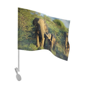 Флаг для автомобиля с принтом Слониха и слоненок в природе в Петрозаводске, 100% полиэстер | Размер: 30*21 см | африка | африканский | бивни | большой | гигант джунгли | зоопарк | индийский | индия | лесной великан | мамонт | огромный | саванна | сафари | серый | слон | слоненок | слониха | стадо | уши | хобот