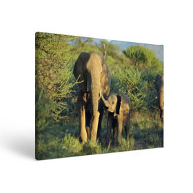 Холст прямоугольный с принтом Слониха и слоненок в природе в Петрозаводске, 100% ПВХ |  | африка | африканский | бивни | большой | гигант джунгли | зоопарк | индийский | индия | лесной великан | мамонт | огромный | саванна | сафари | серый | слон | слоненок | слониха | стадо | уши | хобот