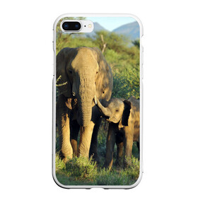 Чехол для iPhone 7Plus/8 Plus матовый с принтом Слониха и слоненок в природе в Петрозаводске, Силикон | Область печати: задняя сторона чехла, без боковых панелей | африка | африканский | бивни | большой | гигант джунгли | зоопарк | индийский | индия | лесной великан | мамонт | огромный | саванна | сафари | серый | слон | слоненок | слониха | стадо | уши | хобот