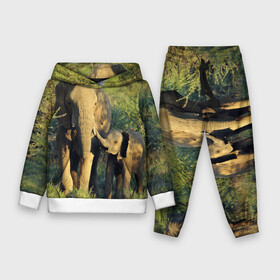 Детский костюм 3D (с толстовкой) с принтом Слониха и слоненок в природе в Петрозаводске,  |  | африка | африканский | бивни | большой | гигант джунгли | зоопарк | индийский | индия | лесной великан | мамонт | огромный | саванна | сафари | серый | слон | слоненок | слониха | стадо | уши | хобот