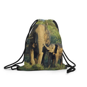 Рюкзак-мешок 3D с принтом Слониха и слоненок в природе в Петрозаводске, 100% полиэстер | плотность ткани — 200 г/м2, размер — 35 х 45 см; лямки — толстые шнурки, застежка на шнуровке, без карманов и подкладки | африка | африканский | бивни | большой | гигант джунгли | зоопарк | индийский | индия | лесной великан | мамонт | огромный | саванна | сафари | серый | слон | слоненок | слониха | стадо | уши | хобот